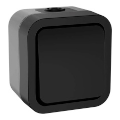 Выключатель кнопочный IEK TORS 10А IP55 TS110 графит [TS-V14-0-10-55-K53]