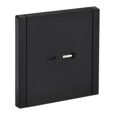 Розетка USB IEK FORTE&PIANO A+C 3,1А FP150 черный [FP-U22-D31-K02]