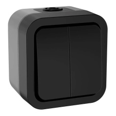Выключатель двухклавишный IEK TORS 10А IP55 TS105 графит [TS-V20-0-10-55-K53]