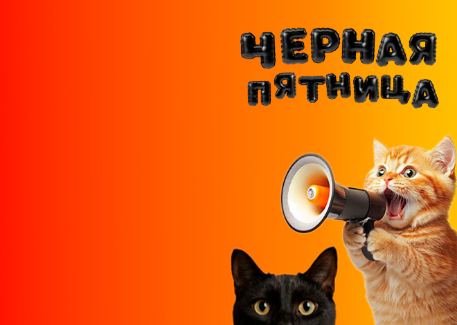 Черная пятница