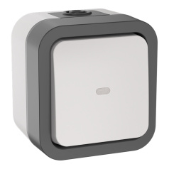 Переключатель IEK TORS TS202 одноклавишный с индикацией 10А IP55 серо-белый [TS-V10-1-10-55-K41]