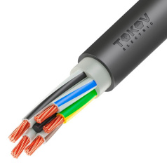 Кабель силовой медный ППГнг(А)-HF TOKOV ELECTRIC, 5х25 мм², МК (N PE), 1 кВ [ТХМ00416255]
