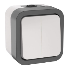 Выключатель двухклавишный IEK TORS 10А IP55 TS205 серо-белый [TS-V20-0-10-55-K41]