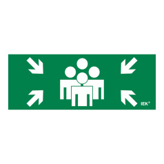 Самоклеящаяся этикетка IEK 240х90 мм, Место сбора [LPC10-1-24-09-MSTS]