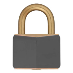 Замки латунные Brady, латунные дужки, 21.2 мм, Ø 6.5 мм, серые, 12 шт [gws51358]