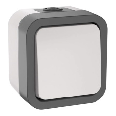 Выключатель кнопочный IEK TORS 10А IP55 TS210 серо-белый [TS-V14-0-10-55-K41]