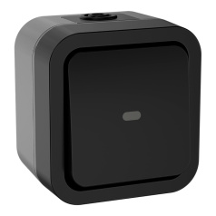 Переключатель IEK TORS TS102 одноклавишный с индикацией 10А IP55 графит [TS-V10-1-10-55-K53]