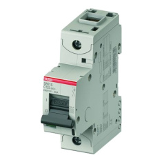 Автоматический выключатель ABB S801P-C80 1P [2CCG001226R0001]