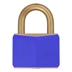 Замки латунные Brady, латунные дужки, 21.2 мм, Ø 6.5 мм, синий, 12 шт [gws51355]