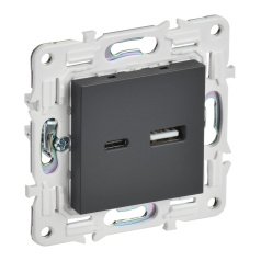 Розетка USB IEK SKANDY A+C 18Вт SK-R13T титан [SK-U22-018-K48]