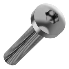 Винт TORX30 по DIN 7500C FORMAT IEK М6 х 30 мм (20 шт) [FO-00D-VTORX-M6X30-020]
