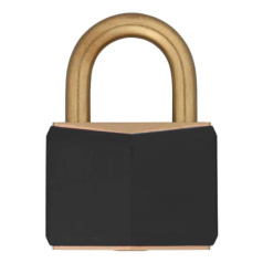 Замки латунные Brady, латунные дужки, 21.2 мм, Ø 6.5 мм, черные, 12 шт [gws51359]