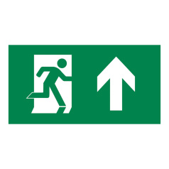 Пиктограмма IEK 300х150 мм, ВЫХОД/стрелка вверх, поливинилхлорид для ССА 3000 [LPC10-2-30-15-VVERH]