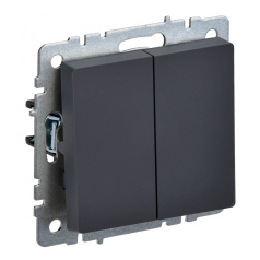 Выключатель IEK BRITE двухклавишный 10А ВС10-2-0-БрГ графит [BR-V20-0-10-K53]