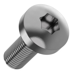 Винт TORX30 по DIN 7500C FORMAT IEK М6 х 16 мм (20 шт) [FO-00D-VTORX-M6X16-020]