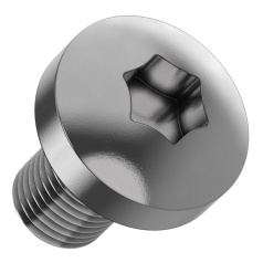 Винт TORX30 по DIN 7500C FORMAT IEK М6 х 10 мм (50 шт) [FO-00D-VTORX-M6X10-050]